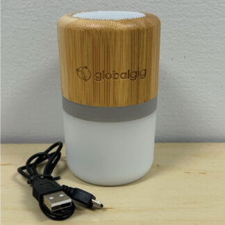 Speaker Bamboo Color